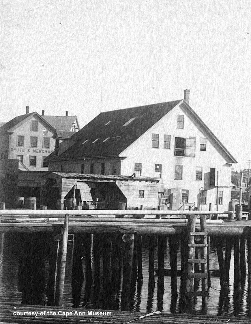 Shute & Merchant buildings