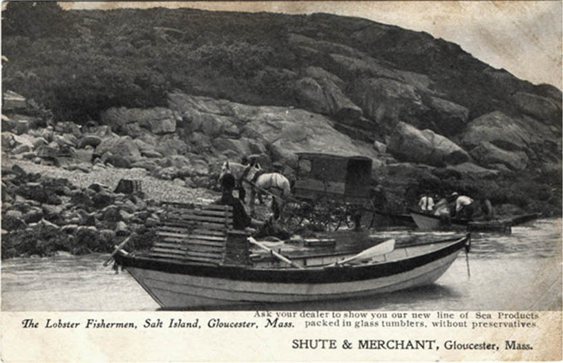 Lobster Fisherman