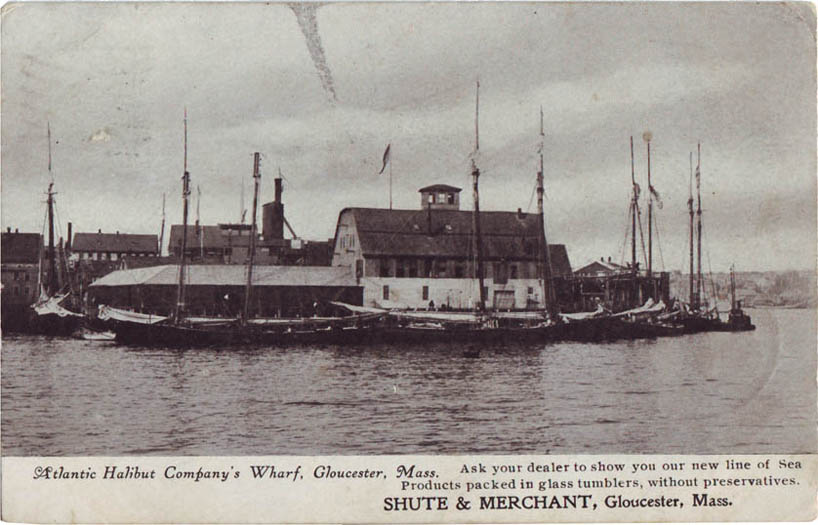 Atlantic Halibut Wharf