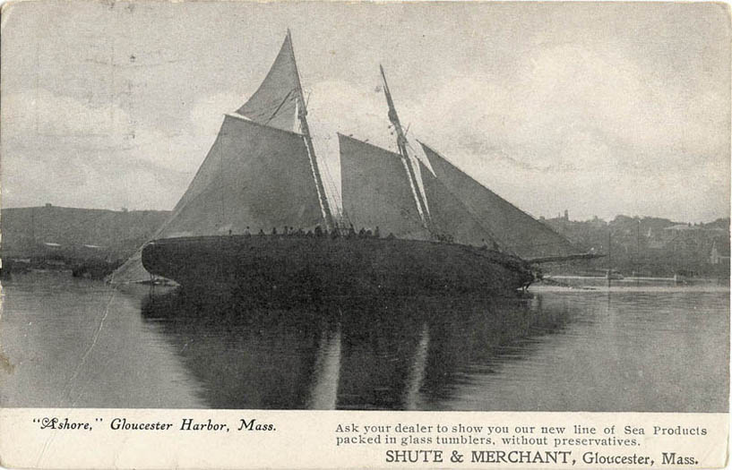 Ashore