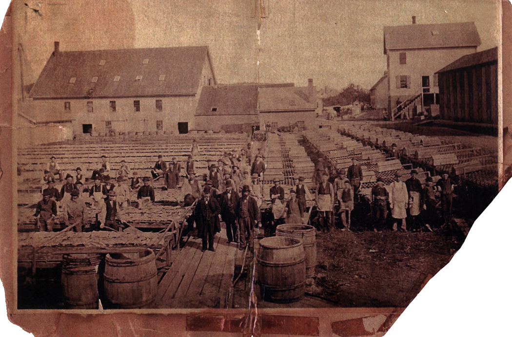 1892 Shute & Merchant