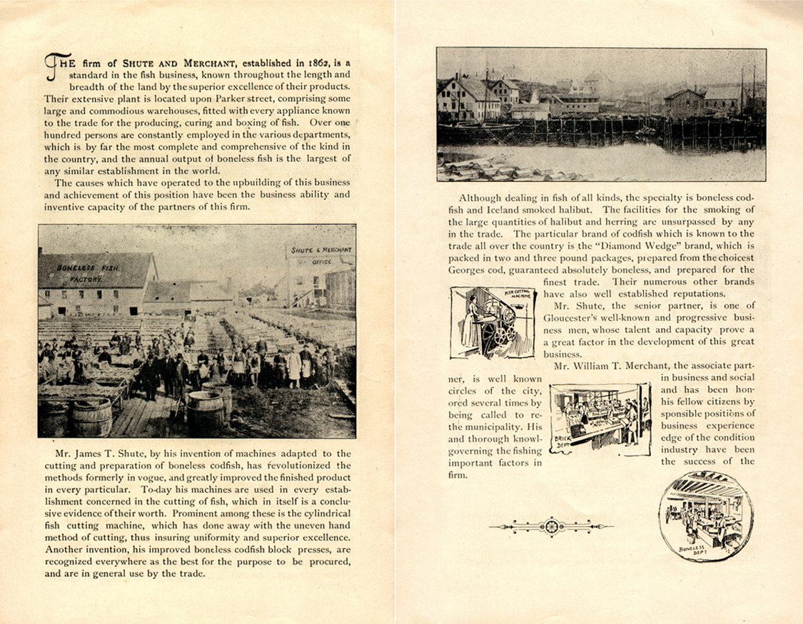 1892 ad article