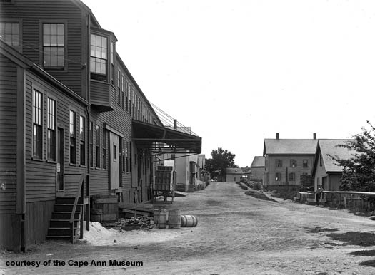 1895 photo