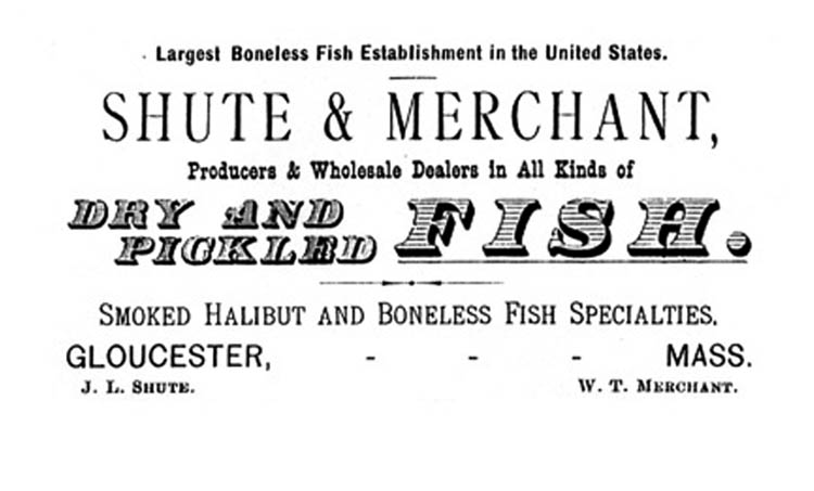 Shute & Merchant ad