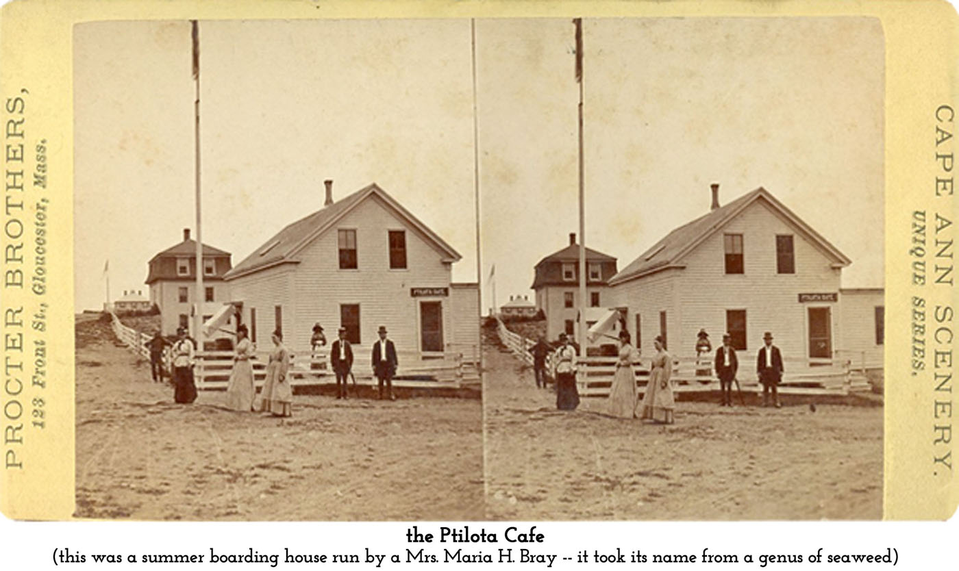 the Ptiolta Cafe