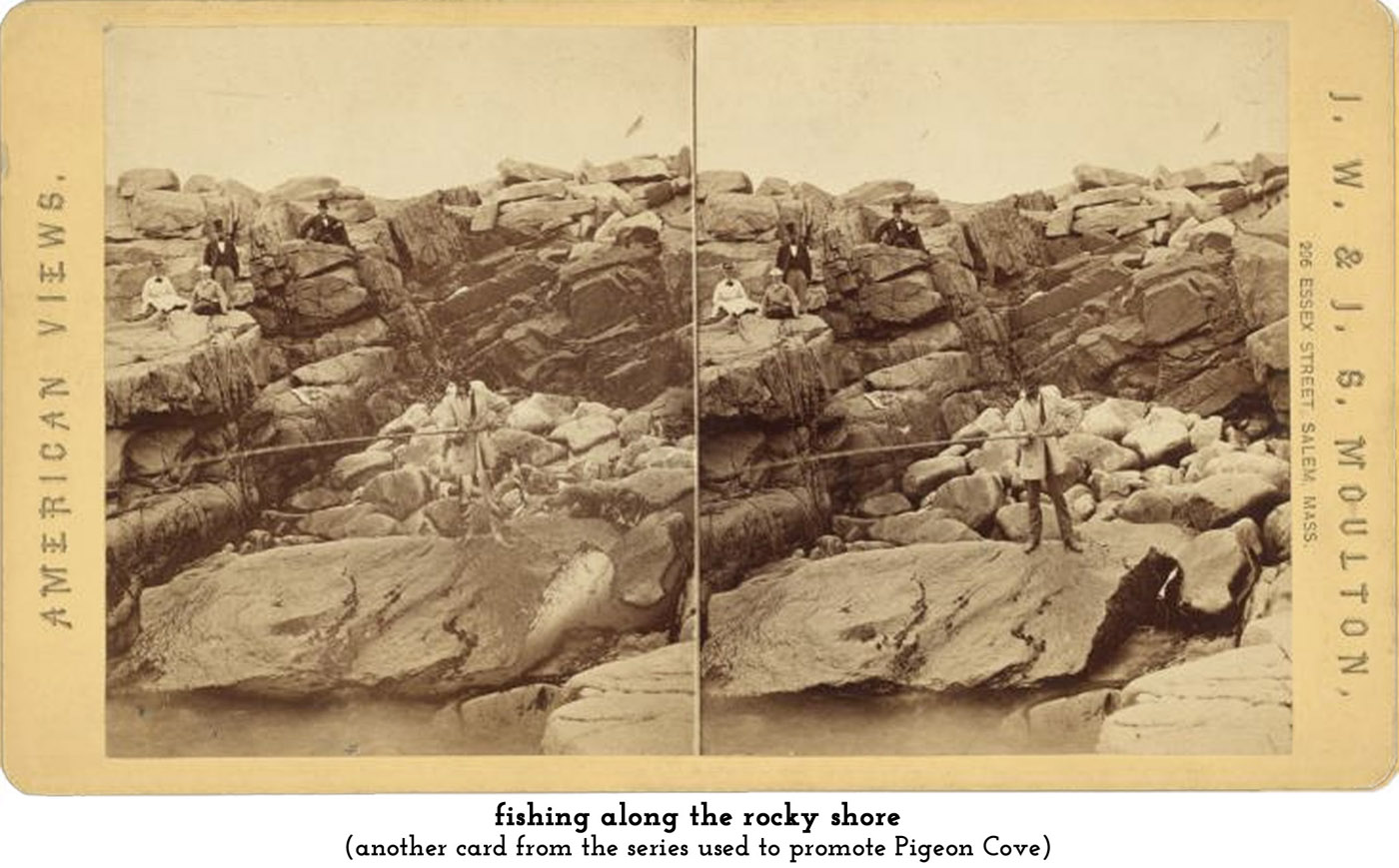 rocky shore at Pigeon Cove