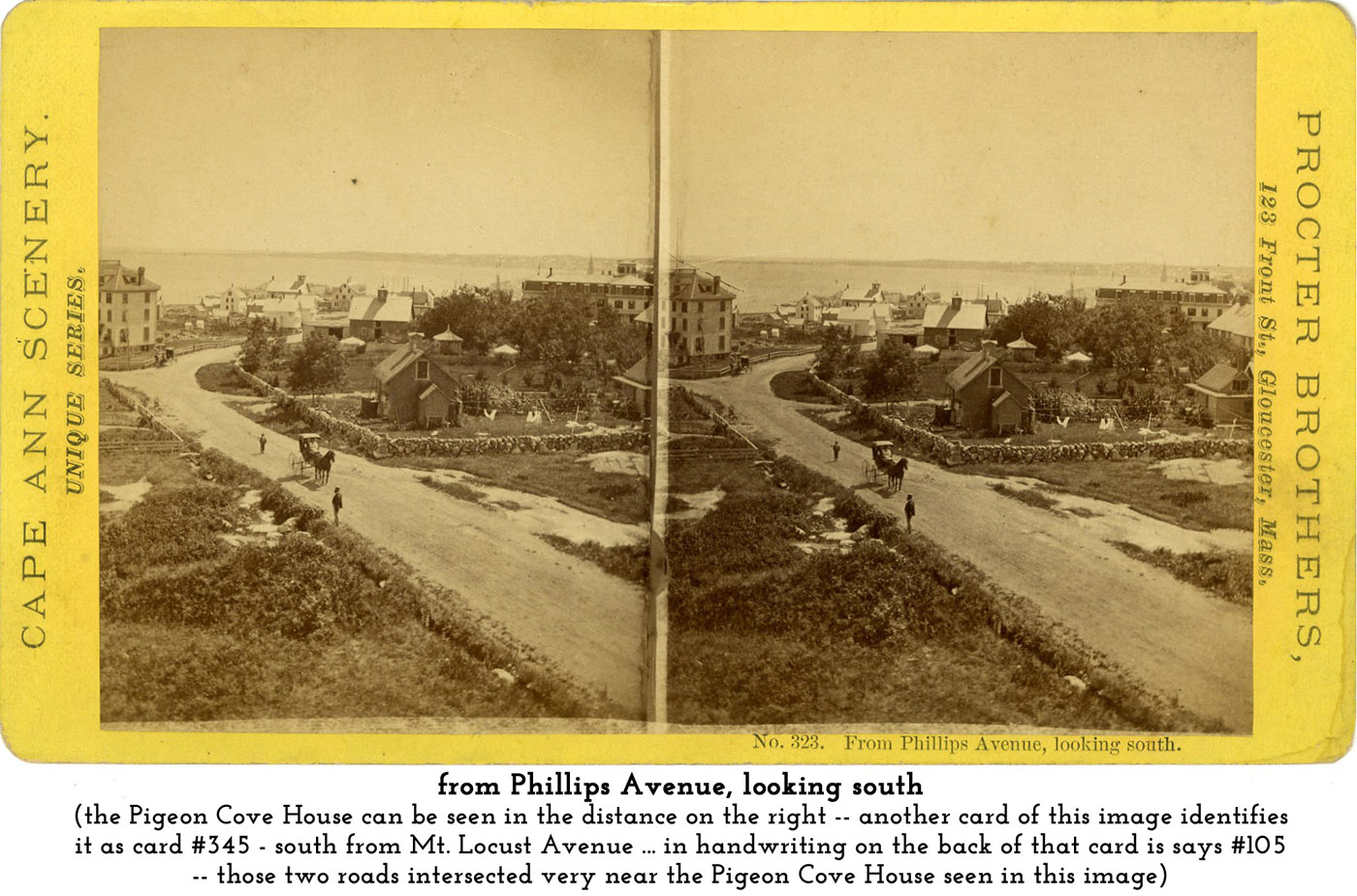 Phillips Avenue
