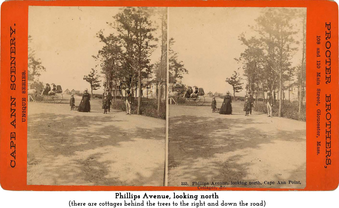 Phillips Avenue