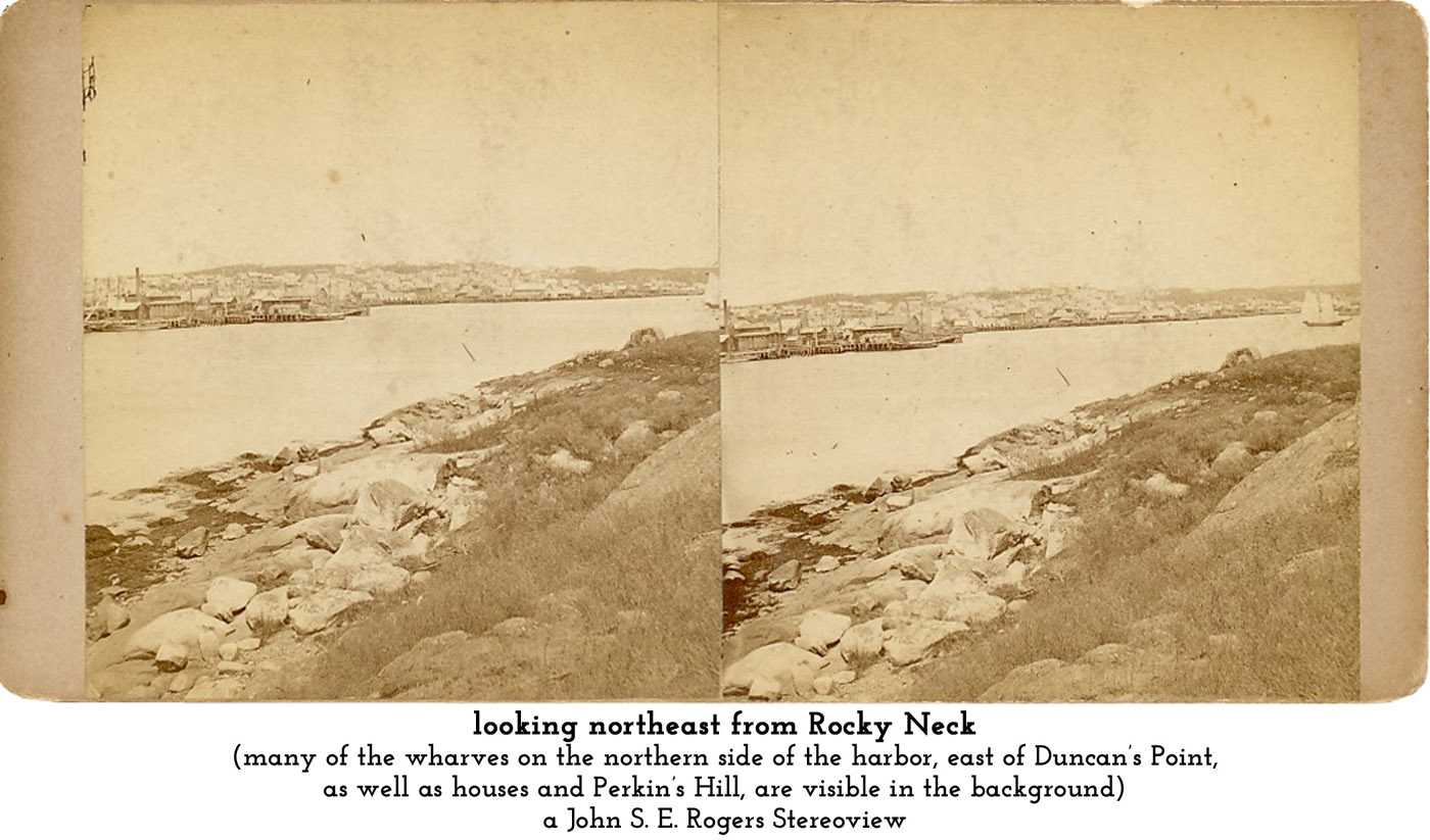 Gloucester Harbor from Rocky Neck
