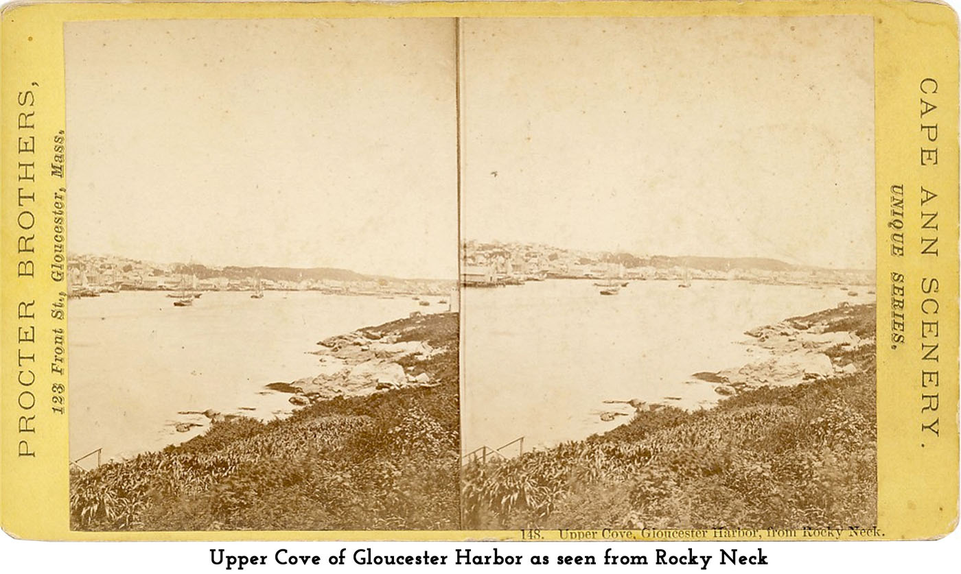 Gloucester Harbor from Rocky Neck