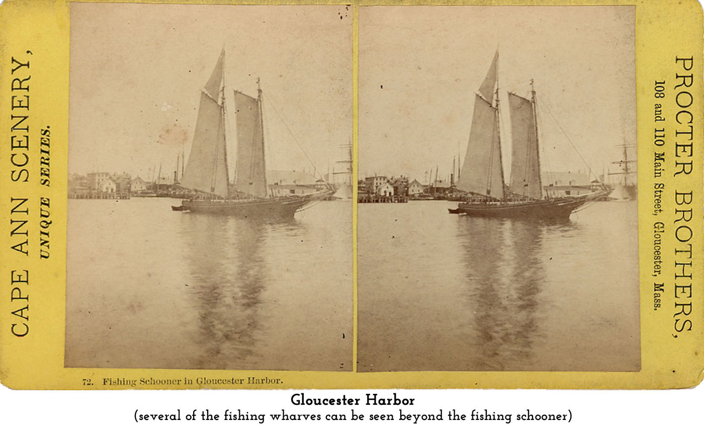 Gloucester Harbor