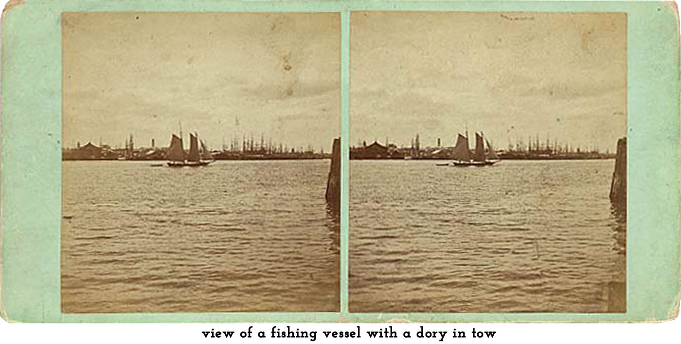 Gloucester Harbor