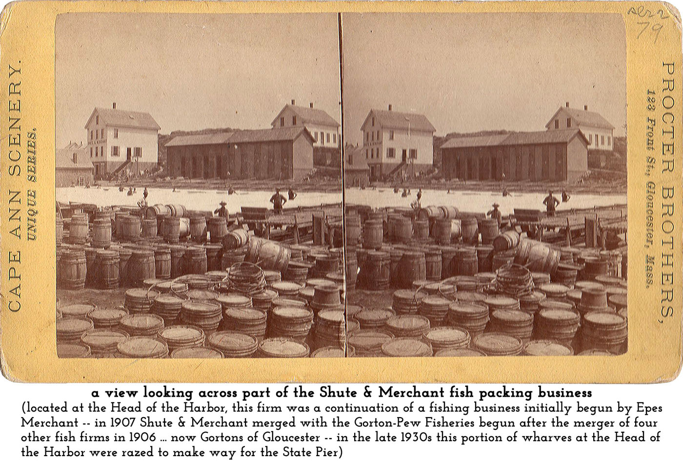 Shute & Merchant offices