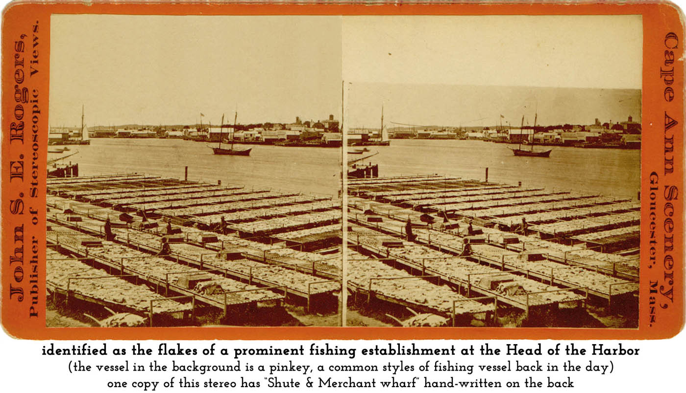 Shute & Merchant flake yard