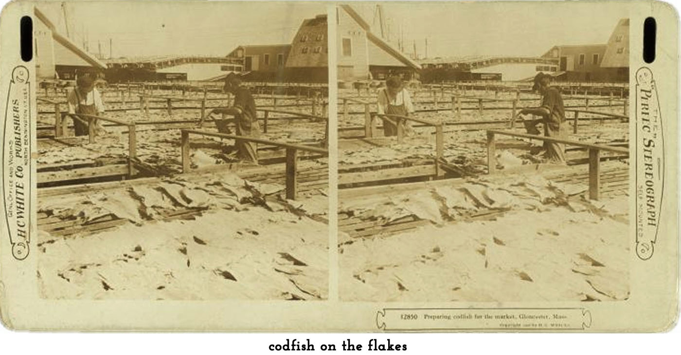 loading the flakes
