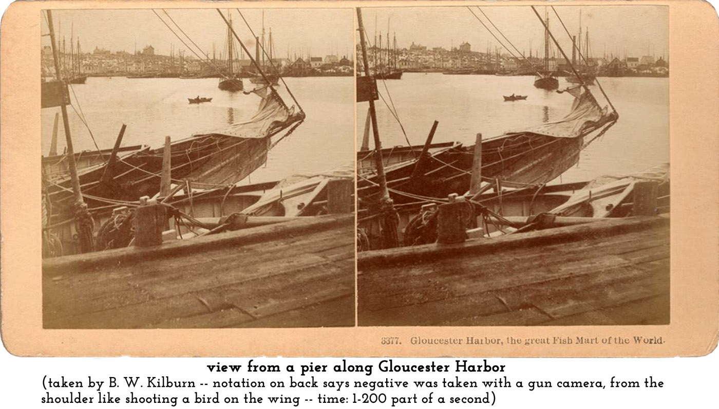 Gloucester Harbor