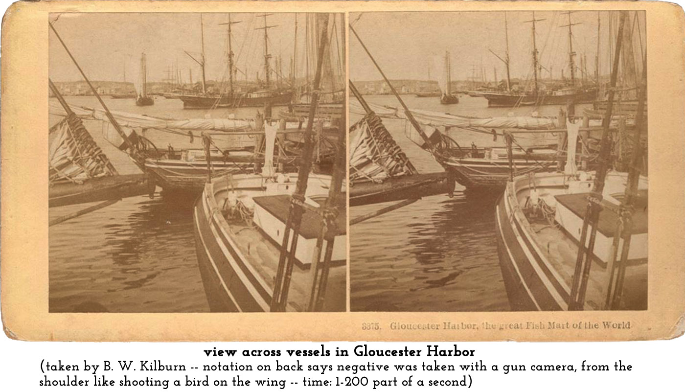 Gloucester Harbor