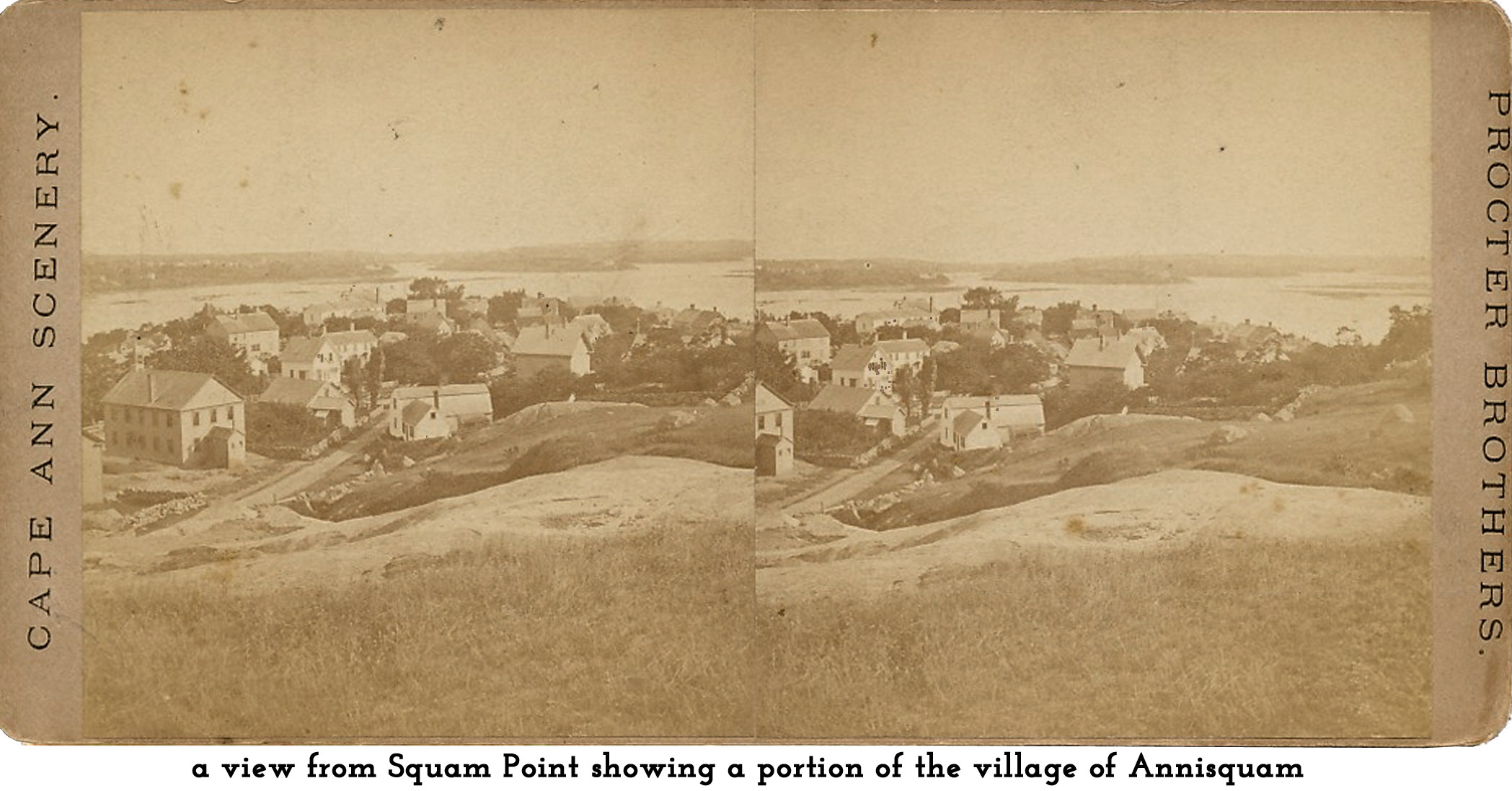 view from Squam Point
