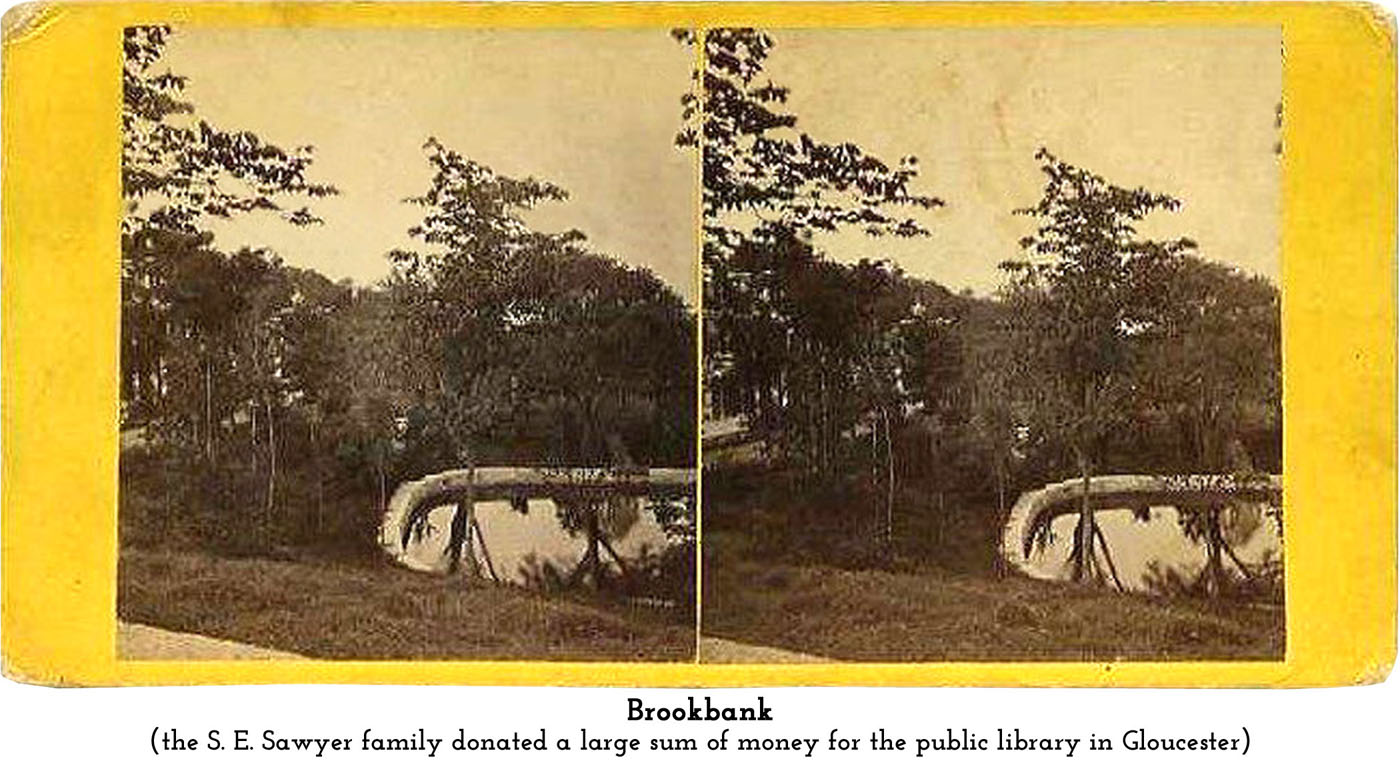 grounds at Brookbank