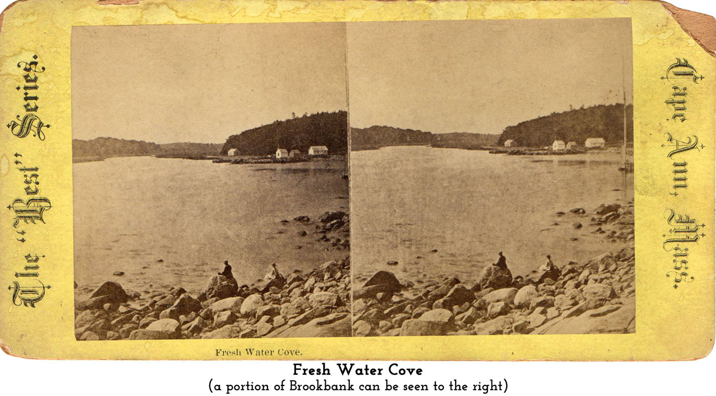Fresh Water Cove at Brookbank