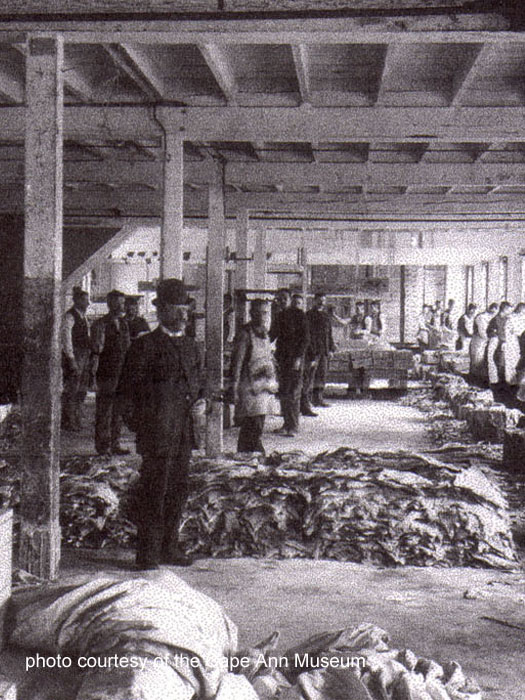 interior at Shute & Merchant