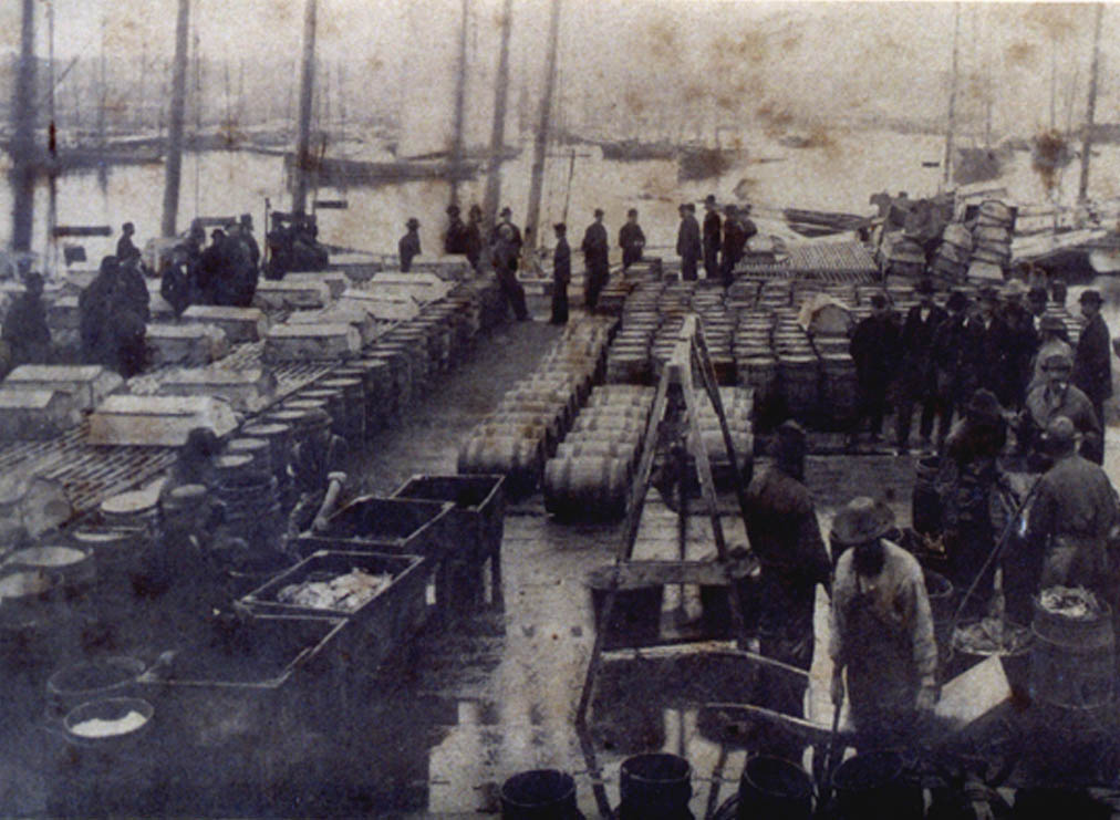 Gloucester wharf scene
