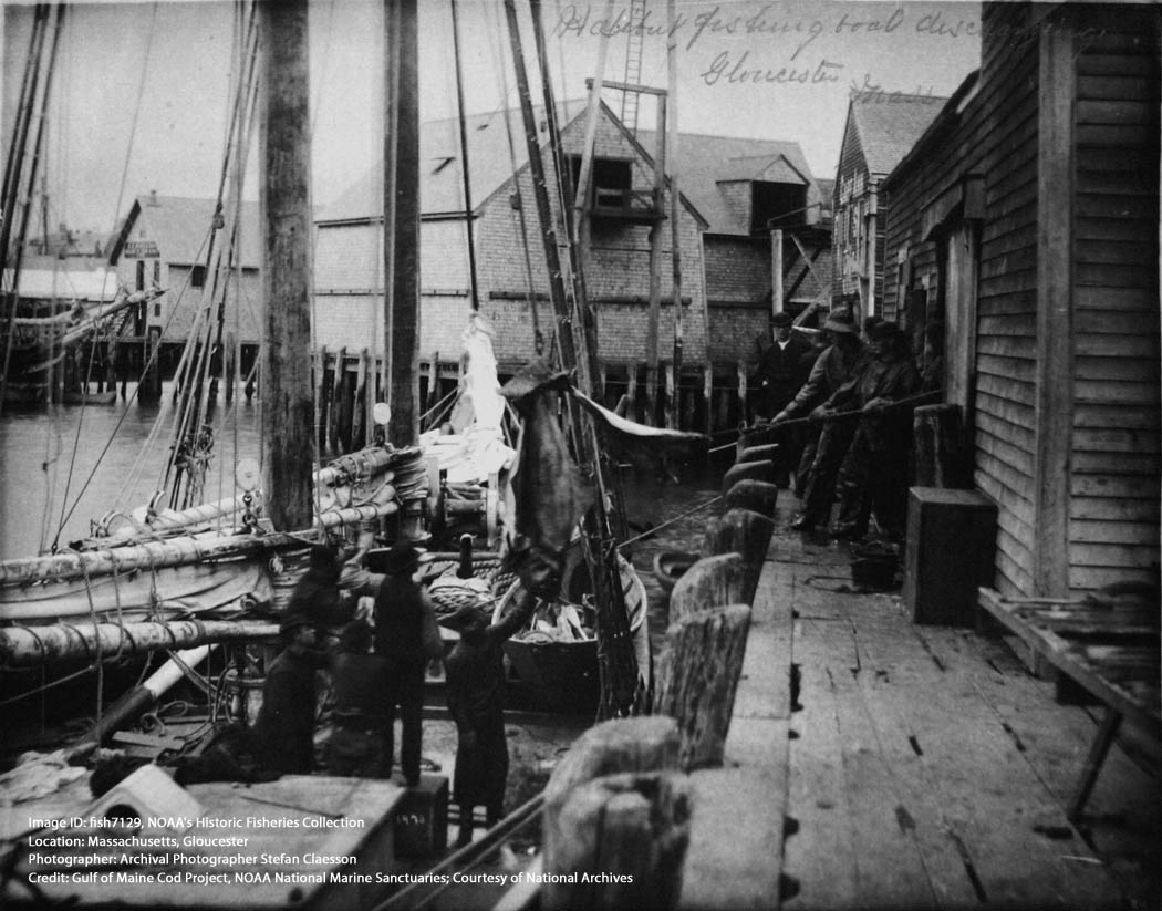 unloading fish -NOAA